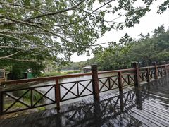 -呀诺达热带雨林