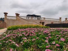 -东莞植物园