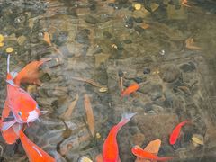 -31号公馆(黄兴广场白果园店)