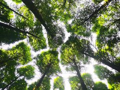 -山王坪喀斯特国家生态公园