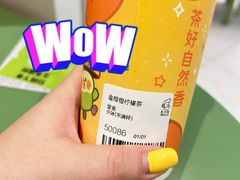 -丘大叔柠檬茶(乐峰广场分店)