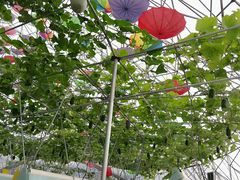 android_upload_pic-盈香心动乐园