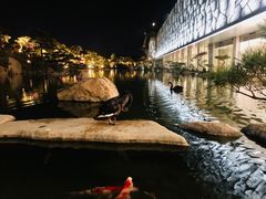 -罗红摄影艺术馆