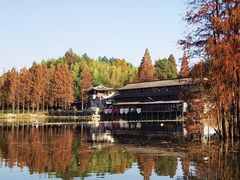 -青山湖景区