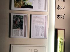 -中国茶叶博物馆(双峰馆区)