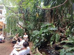 -Fern Forest Cafe