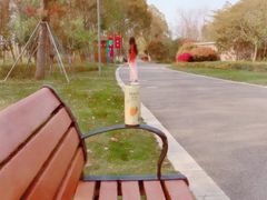 -昆山城市生态森林公园