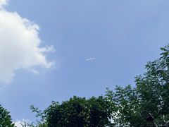 -火炉山森林公园