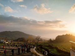 -塔川景区