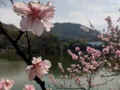 -白马涧龙池景区