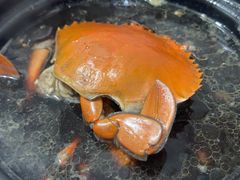 -老财炒饭·熟地蟹·冬瓜蟹