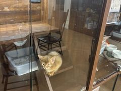 -Apple零售店(西单大悦城店)