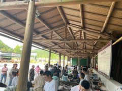 -武陵山森林公园