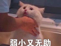 -失落之城沉浸式剧情密室(江宁万达店)