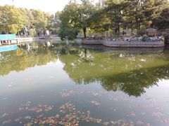 -黄村公园