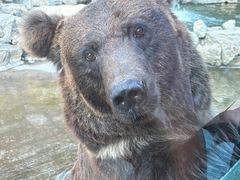 -北京野生动物园