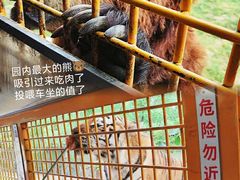 -上海野生动物园