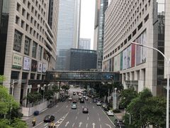 -港丽餐厅(高德置地店)