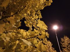 -亦庄创意生活广场