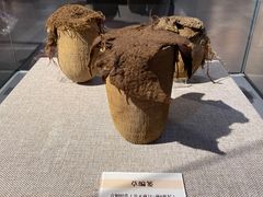 -巴音郭楞蒙古自治州博物馆