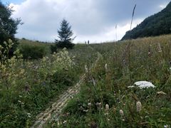 -白草畔自然风景区