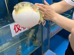 -永安鱼庄·镇江菜(丁卯店)