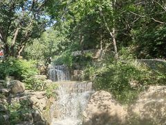 -北京西山国家森林公园