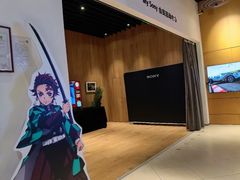 -Sony Store索尼(深圳深业上城店)