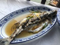 清蒸白水鱼-洞天食府(北大街店)
