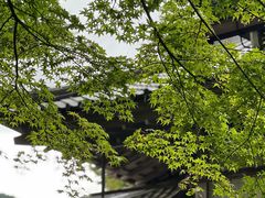 -三千院
