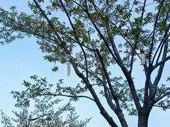 -新天地活力PARK