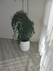 -HEYAN荷妍专业脱毛连锁机构