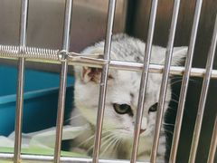 -瑞派·关忠动物医院·异宠专科·犬猫肿瘤·皮肤专科(望京店)