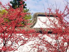 -乌山风景区