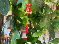 -艾柏堂8090经络·艾灸养生(御庭府邸店)