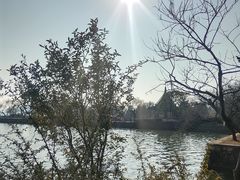 -无锡蠡湖国家湿地公园-蠡园