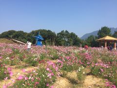 -广州市流溪河国家森林公园