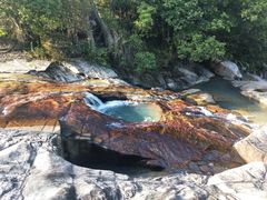 -广州白江湖森林公园