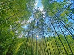 -千泷沟大瀑布旅游区