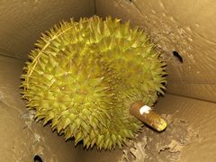 -金城大酒店-中餐厅(汾江中路店)