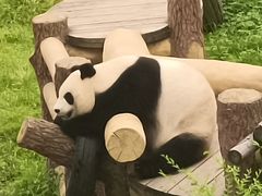 -沈阳森林动物园