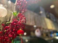-九州酒场ひこぞう(1号店)