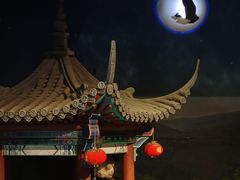 -成都泰迪熊博物馆