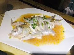 太湖白鱼-元泰酒店