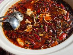 -陶然居·重庆菜(解放碑店)