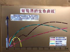 -青岛葡萄酒博物馆