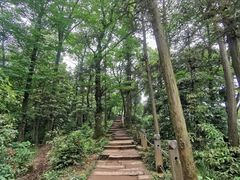 -青城山