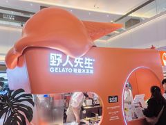-野人先生现做冰淇淋(北京王府井东方新天地店)
