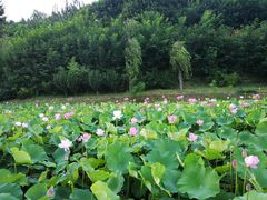 -白鹿原影视城