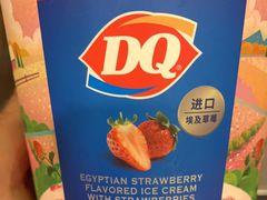 埃及草莓冰淇淋400g-DQ·蛋糕·冰淇淋(科华王府井店)